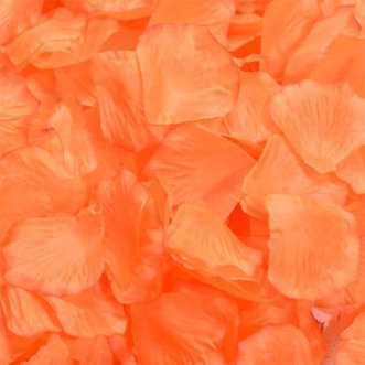 Оранжевые лепестки роз