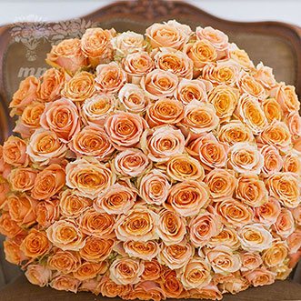 101 оранжевая роза (Premium) 70 см