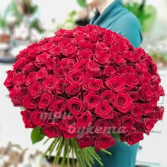 101 красная роза 70 см
