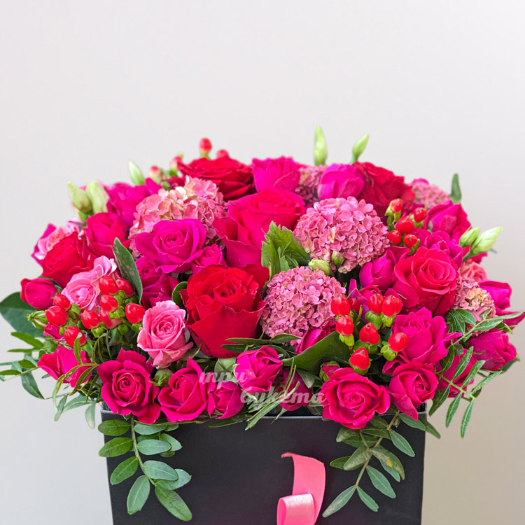 12 макарун в выдвижном ящике (крупный план)