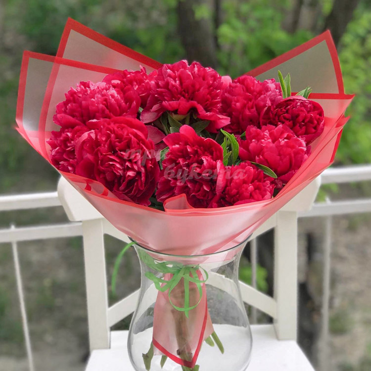 Букет из 11 пионов Рут Клэй