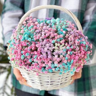 Голубые и розовые гипсофилы в корзине