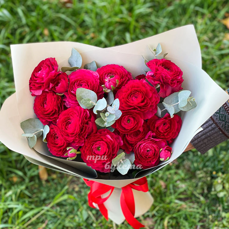 Букет из 11 алых ранункулюсов (на фоне зелени)