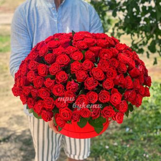 Коробка 101 красной розы Эль Торо